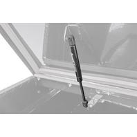 Pontiac Torrent 2006 Doors & Door Accessories Tool Box Lift Support