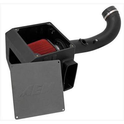 AEM Performance Cold Air Intake Systems