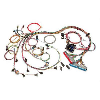 Painless Wiring Fuel Injection Wiring Harness - 60508