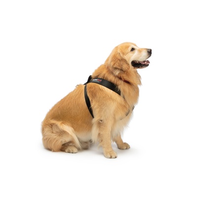 WeatherTech Pet Safety Harness - Medium (Black) - 84PH2830BK