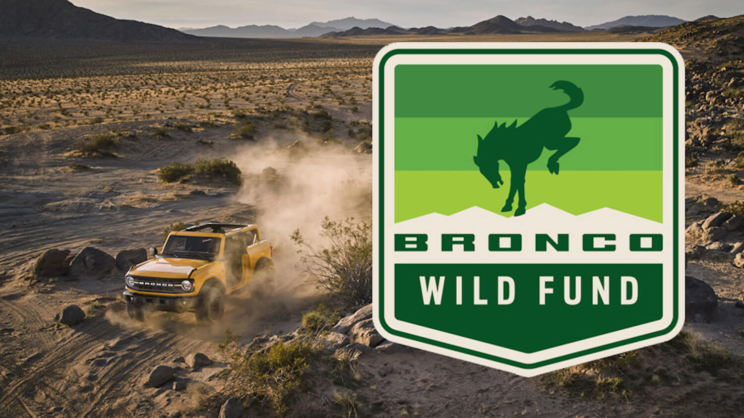01 Ford Bronco Wild Fund