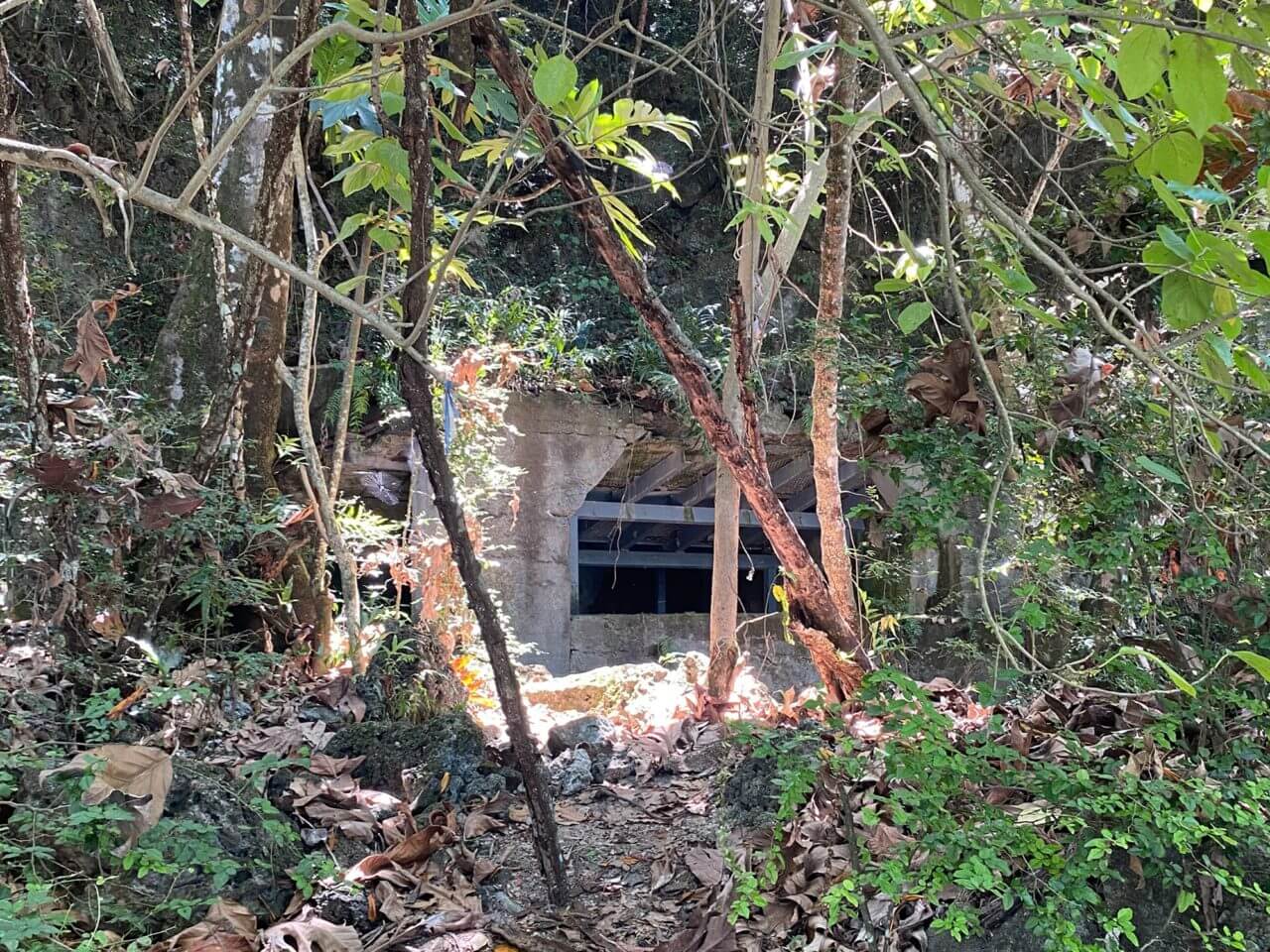 11 asan bay bunker